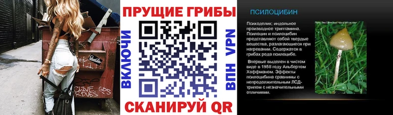 закладки  shop наркотические препараты  Галлюциногенные грибы Magic Shrooms  Туймазы 